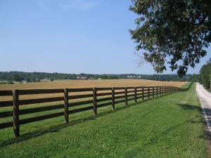 fence alone property