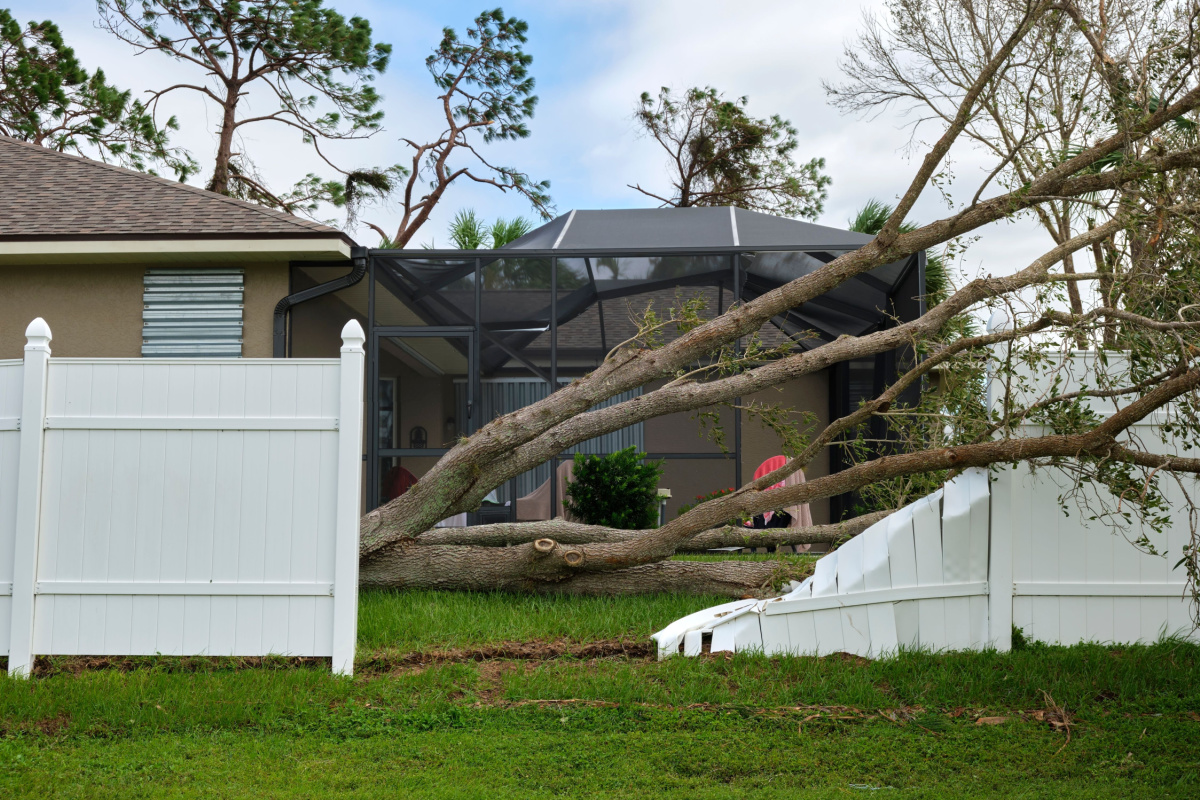 Help! My Neighbor’s Tree Fell Onto My Fence! Greenhil Fencing